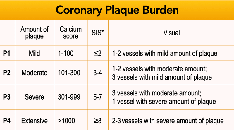 *SIS - Segment involvement score. SIS is a semiquantitative measure derived from the coronary CTA scan (7). For each of the 16 coronary segments a score of 1 is added if any plaque is present for a maximum of 16, or 17 in case a ramus intermedius is present.